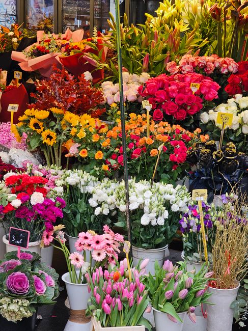 A vibrant display of fresh flowers arranged in pots and bouquets, including pink tulips, white daffodils, purple irises, and bright yellow sunflowers. The flowers are set on a shop counter or display 