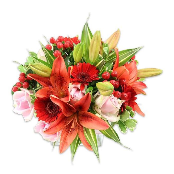 This visually opulent arrangement is set against a clean white field so the colours sing: fiery orange-red lilies with delicate speckles curve outward at the centre, asserting a dramatic focal point with their prominent stamens and layered petals. Surrounding them, rich scarlet Gerbera daisies contribute circular bursts of radiance, their many narrow petals and darker centers adding graphic contrast and lively rhythm. Interspersed are soft, blush-pink roses - some tightly furled, others gently open - that bring an elegant, soothing counterpoint to the more intensely hued blooms. Clusters of bright, glossy hypericum berries nestle among the stems, their round, jewel-like forms and shiny skins providing pleasing punctuation and a festive touch. Varied green foliage fills and frames the bouquet: broad, smooth leaves provide weight and continuity while variegated leaves with pale streaks introduce lightness and subtle patterning; a few unopened lily buds offer the promise of blooms to come. The overall silhouette is full and rounded, the product of careful floristry that balances scale, texture, and colour. Bathed in soft, even lighting, the bouquet communicates warmth, passion, and joy - the kind of arrangement suitable for anniversaries, Valentine's gestures, or to lend a celebratory atmosphere to a Dalston flat or a table near Dalston Square. Texturally, imagine the contrast between satiny rose petals, the slightly papery lilies, the waxy berries, and crisp foliage - each element selected to deliver visual richness and tactile pleasure.